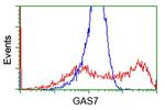 GAS7 Antibody in Flow Cytometry (Flow)