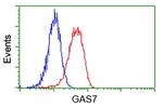 GAS7 Antibody in Flow Cytometry (Flow)