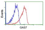 GAS7 Antibody in Flow Cytometry (Flow)