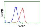 GAS7 Antibody in Flow Cytometry (Flow)
