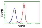 GBA3 Antibody in Flow Cytometry (Flow)