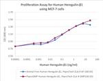 PeproGMP® Human Heregulin beta-1 Protein in Functional Assay (FN)