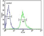 GNB1 Antibody in Flow Cytometry (Flow)