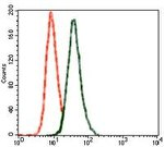 GluR2 Antibody in Flow Cytometry (Flow)