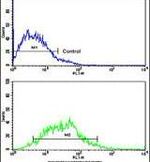 H-cadherin Antibody in Flow Cytometry (Flow)