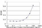 SERPINA3 Antibody in ELISA (ELISA)