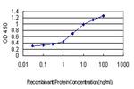 ACPP Antibody in ELISA (ELISA)