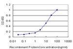 AHR Antibody in ELISA (ELISA)