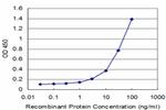 NUDT2 Antibody in ELISA (ELISA)