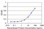 RHOA Antibody in ELISA (ELISA)