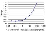 AXL Antibody in ELISA (ELISA)