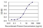 BGLAP Antibody in ELISA (ELISA)