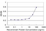 BST2 Antibody in ELISA (ELISA)