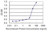 C4BPB Antibody in ELISA (ELISA)