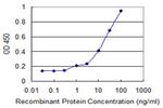 FMNL1 Antibody in ELISA (ELISA)