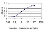 CAPZB Antibody in ELISA (ELISA)