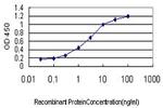 TNFRSF8 Antibody in ELISA (ELISA)