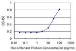 CDX1 Antibody in ELISA (ELISA)