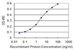 CDX4 Antibody in ELISA (ELISA)