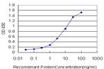 CLCA1 Antibody in ELISA (ELISA)