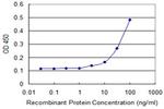 COL5A1 Antibody in ELISA (ELISA)