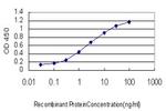 DAZ1 Antibody in ELISA (ELISA)