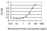 DMD Antibody in ELISA (ELISA)