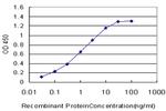 DMPK Antibody in ELISA (ELISA)