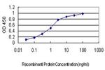 ARID3A Antibody in ELISA (ELISA)