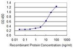 DUSP3 Antibody in ELISA (ELISA)