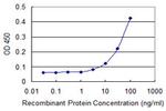 EFNA3 Antibody in ELISA (ELISA)