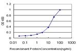 EGR1 Antibody in ELISA (ELISA)