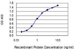 F2 Antibody in ELISA (ELISA)