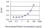 PTK2B Antibody in ELISA (ELISA)