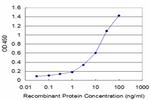 FASN Antibody in ELISA (ELISA)