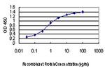 FGFR2 Antibody in ELISA (ELISA)