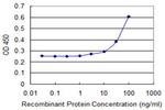 GLI3 Antibody in ELISA (ELISA)