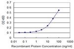 GLS Antibody in ELISA (ELISA)