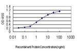 HHEX Antibody in ELISA (ELISA)