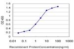 HMGB2 Antibody in ELISA (ELISA)