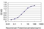 HSPA1B Antibody in ELISA (ELISA)