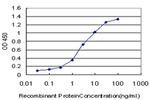 IRF2 Antibody in ELISA (ELISA)