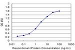 MAGEA9 Antibody in ELISA (ELISA)