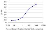 PCSK6 Antibody in ELISA (ELISA)