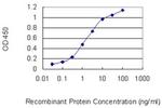 PAX2 Antibody in ELISA (ELISA)