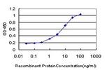 PBX1 Antibody in ELISA (ELISA)