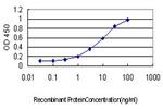 PRKCI Antibody in ELISA (ELISA)