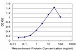 ROBO1 Antibody in ELISA (ELISA)