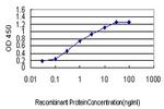 S100A2 Antibody in ELISA (ELISA)