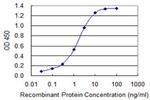 S100B Antibody in ELISA (ELISA)